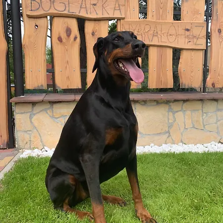 Boglarka Nyaralohaz Σπίτι διακοπών