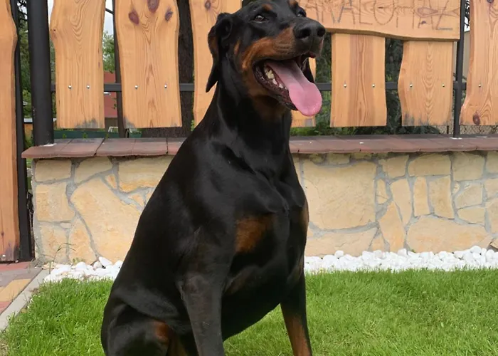 Boglarka Nyaralohaz Prázdninový dům